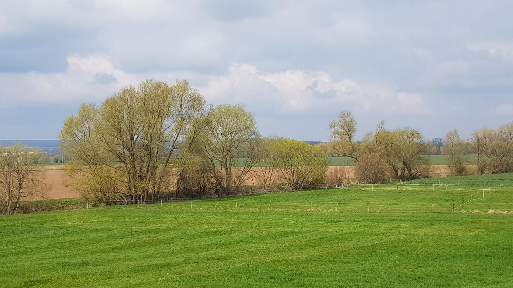 Ferienwohnung Leineufer Friedland  Bagian luar foto